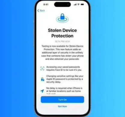 仲巴苹果授权维修店分享被盗设备保护功能开启方法