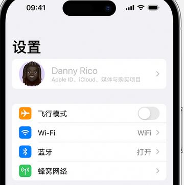 仲巴appleID维修服务iPhone设置中Apple ID显示为灰色无法使用