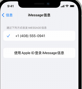 仲巴apple维修iPhone上无法正常发送iMessage信息 