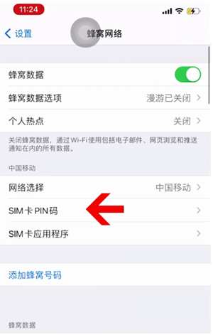 仲巴苹果14维修网分享如何给iPhone14的SIM卡设置密码 