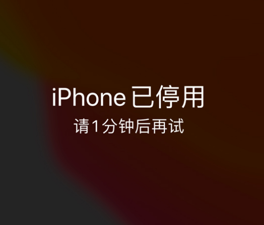 仲巴苹果手机维修分享:iPhone 显示“不可用”或“已停用”怎么办？还能保留数据吗？ 