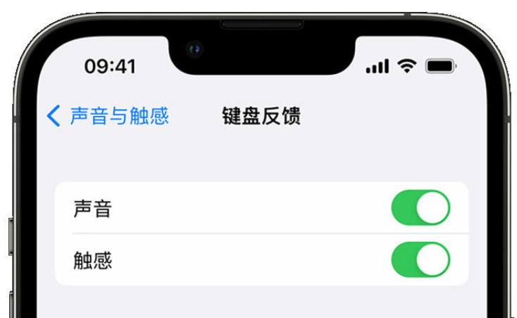 仲巴苹果手机维修分享iPhone 14触感键盘使用方法 