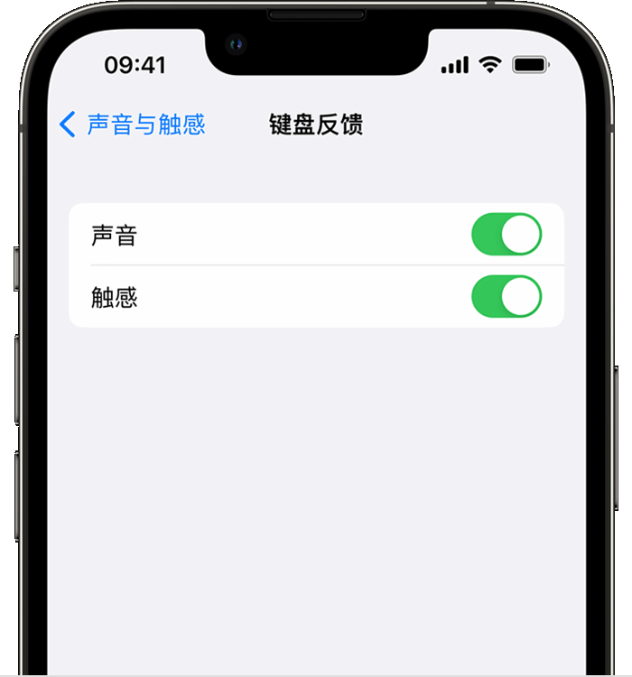 仲巴苹果14维修店分享如何在 iPhone 14 机型中使用触感键盘 