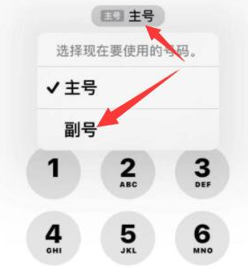 仲巴苹果14维修店分享iPhone 14 Pro Max使用副卡打电话的方法 