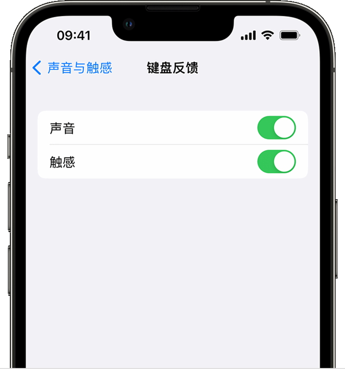 仲巴苹果14维修分享iPhone 14 系列机型如何开启键盘声音或触感反馈 