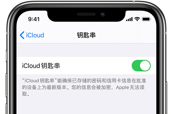 仲巴苹果手机维修分享在 iPhone 上开启 iCloud 钥匙串之后会储存哪些信息 