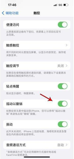 仲巴苹果手机维修分享iPhone手机如何设置摇一摇删除文字 