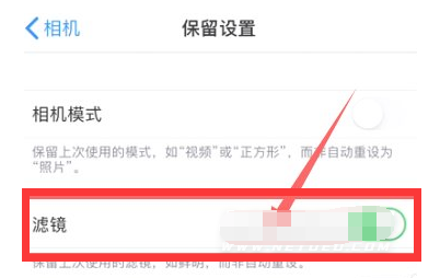仲巴苹果13维修分享iPhone13拍照有绿点是怎么回事 