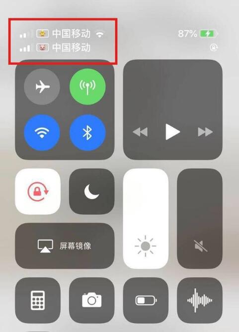 仲巴苹果手机维修分享为 iPhone 12 双卡设置标签 