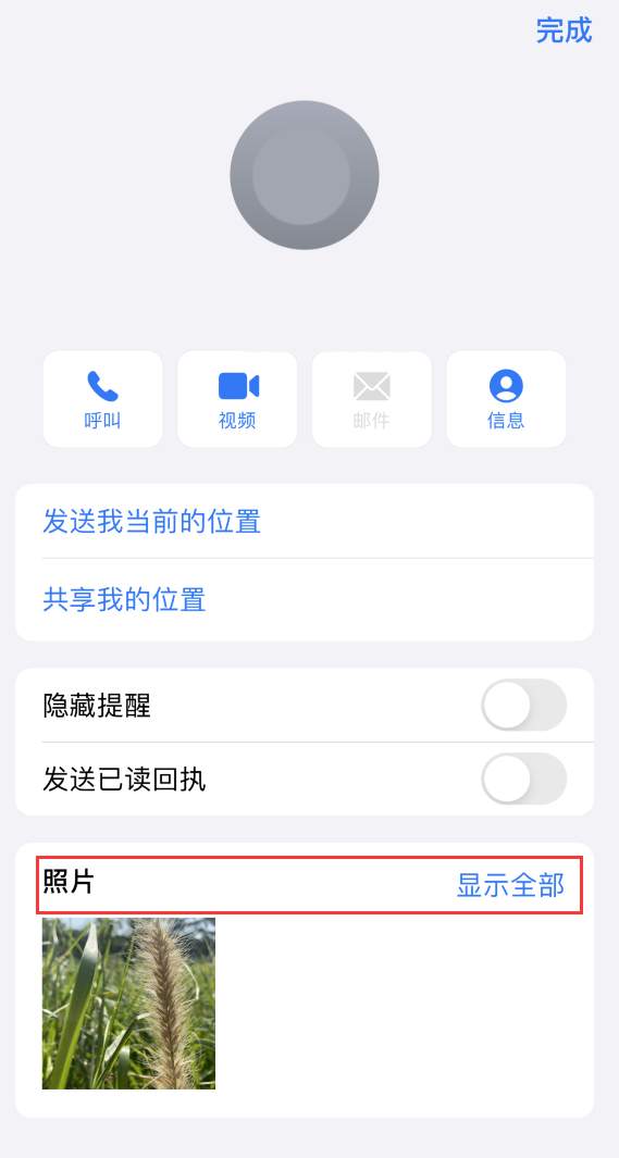 仲巴苹果手机维修分享如何快速查找 iMessage 信息中的图片等附件 